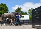 Fasig-Tipton's Racehorse Sale Provides Opportunity Fasig-Tipton's Racehorse Sale Provides Opportunity