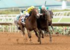 Curlin Road Wears Down Hard Aces in Cougar II Curlin Road Wears Down Hard Aces in Cougar II