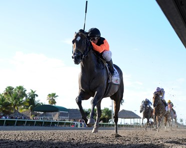 Imperial Hint wins the 2017 Smile Sprint