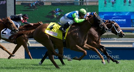 Rainha Da Bateria (#4) and Starship Jubilee (#8) finish in a dead heat in the 2017 Dance Smartly Stakes at Woodbine.