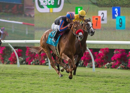 Madam Dancealot wins the 2017 San Clemente Handicap (G2T)
