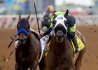 Ransom the Moon wins the Bing Crosby, with the riderless champion Drefong not far behind.