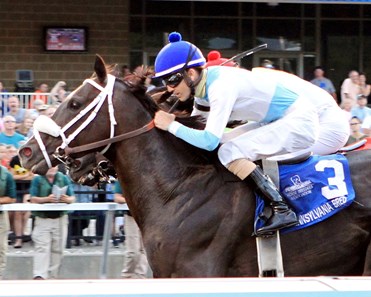Tom's Ready wins the 2017 Leemat Stakes