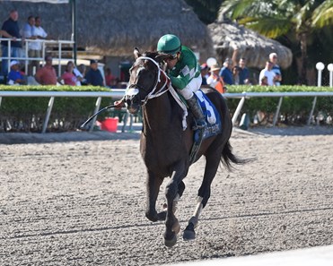 Three Rules wins the 2017 Carry Back