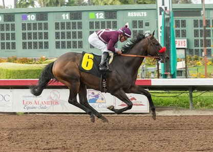 Ambitious Brew wins the 2017 Bertrando Stakes