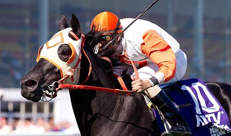 Ben's Cat wins the 2010 Maryland Million Turf Sprint
