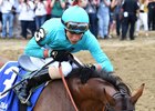 Irad Ortiz Jr. gives Lady Eli a congratulatory pat after the Diana