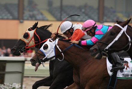Ben's Cat #5 (L) with Julian Pimentel riding edged out Chamberlain Bridge #11 (C) 2nd with Paco Lopez and Great Mills (R) with Frankie Pennington third in the $350,000 Grade III Turf Monster Handicap at Parx Racing in Bensalem, PA on Monday September 3, 2012.