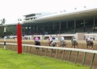 Quarter Horse racing at Hialeah Park