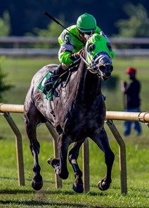 Trust Factor wins the 2017 Louisiana Legends Turf