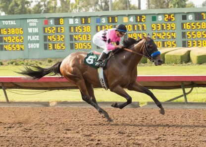 West Coast and jockey Drayden Van Dyke win the G3, $200,000 Los Alamitos Derby, Saturday, July 15, 2017 at Los Alamitos Race Course, Cypress Ca.