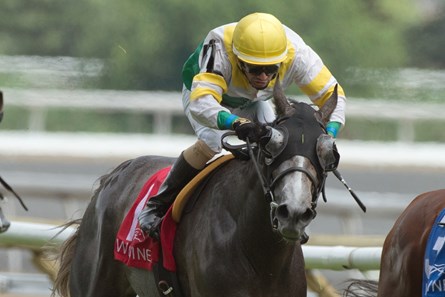 Final Copy wins the 2017 Toronto Cup Stakes