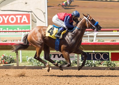 Miss Sunset wins the 2017 Fleet Treat Stakes