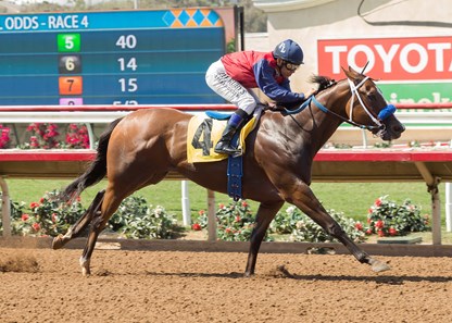 Miss Sunset wins the 2017 Fleet Treat Stakes