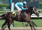 Scat Daddy caught Teuflesberg late to win the Sanford Stakes.<br><a target="blank" href="http://www.bloodhorse.com/horse-racing/photo-store?ref=http%3A%2F%2Fpictopia.com%2Fperl%2Fgal%3Fgallery_id%3D6823%26process%3Dgallery%26provider_id%3D368%26ptp_photo_id%3D452068%26sequencenum%3D%26page%3D">Order This Photo</a>