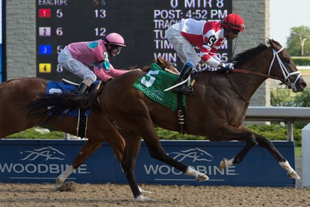 Patrick Husbands guides Blueblood to victory in the 2017 Victoria Stakes for owner Fox Hill Farm and trainer Mark Casse