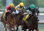Glamanation First Stakes Winner for Point of Entry Glamanation First Stakes Winner for Point of Entry