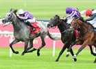 Capri takes the Irish Derby over Cracksman (right) and Wings of Eagles (center)
