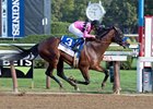 West Coast rolls home to win the Travers Stakes