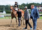 Owner Al Gold (middle) and trainer Jeremiah Englehart (right) greet Aveenu Malcainu after his Aug. 25 Funny Cide victory at Saratoga