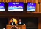 Hip 186, an Orb colt, was the Aug. 8 session topper and co-sale topper at $1 million