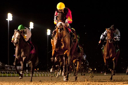 Listenlindalisten wins the 2017 Eternal Search Stakes