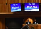 Hip 163, a Malibu Moon colt, was Spendthrift's highest purchase at $700,000