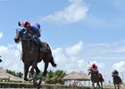 Gunnevera coasts to a five-length victory in the Tangelo at Gulfstream