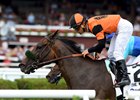Estrechada wins the 2017 Fasig-Tipton Waya Stakes