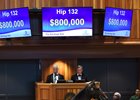 Kerri Radcliffe purchased the Scat Daddy filly for $800,000