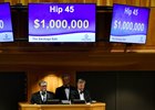 Hip 45, a colt out of River's Prayer brought seven figures