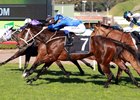 Winx runs down her rivals in the Bob Ingham Warwick Stakes