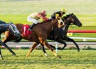Tribalist (inside) just gets past Gutsy Ruler to win the Green Flash Handicap