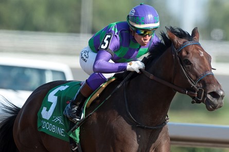 Jockey Luis Contreras guides Ami's Mesa to victory in the 2017 Seaway Stakes at Woodbine Racetrack