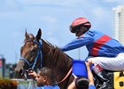 Edgard Zayas gives Gunnevera a pat after winning the Tangelo Stakes