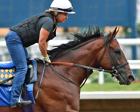 St Patrick's Day trains at Del Mar Aug. 19