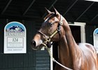 Hip 124 is a Speightstown half brother to Tapwrit