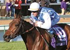 Goldikova wins her third consecutive Breeders' Cup Mile in 2010