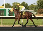 Trickey Escape and Chris DeCarlo