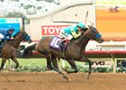 Zatter defeated stablemate St Patrick's Day in their debut Aug. 20 at Del Mar