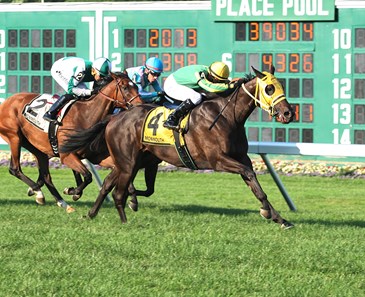 Tricky Escape #4 with Chris Decarlo aboard wins the 2017 Violet Stakes at Monmouth Park in Oceanport, NJ on August 19, 2017.