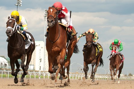 Summer Sunday wins the 2017 Nandi Stakes