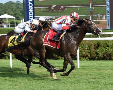 Bricks and Mortar wins the 2017 National Museum of Racing Hall of Fame Stakes