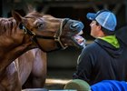 Mind Your Biscuits with trainer Chad Summers