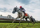 World Approval with jockey Manuel Franco bypasses the field to win the 33rd running of The Fourstardave at the Saratoga Race Course Aug. 12, 2017 in Saratoga Springs, N.Y. (Skip Dickstein