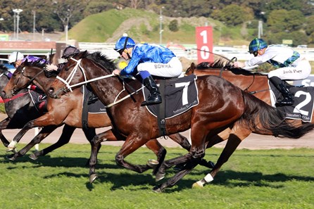 Winx wins the 2017 Warwick Stakes