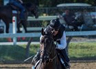 Cloud Computing puts in his final work for the Travers at Saratoga Race Course Aug. 19
