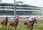 Sam Houston Race Park is currently home to more than 100 horses displaced by Hurricane Harvey