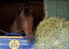 West Coast put in his first work Sept. 4 since winning the Travers