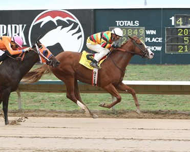 Thermistor wins the 2017 Gold Rush Futurity